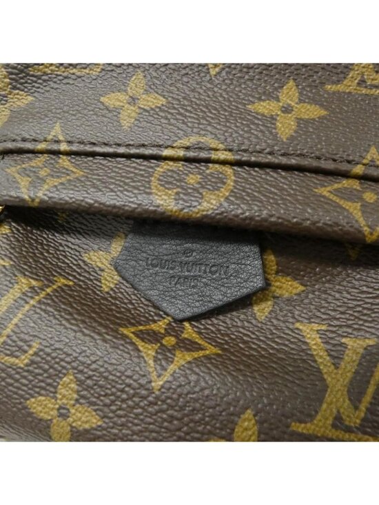 Louis Vuitton Monogram Palm Spring Backpack Mini Sac main image 4